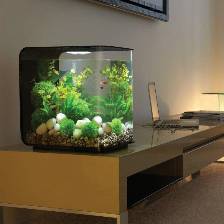 déménager un aquarium 